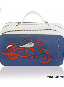 LookBook francescatorsibags 35